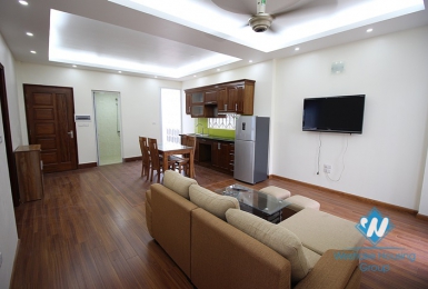 Quality apartment with lake view for rent on Trinh cong son, Tay Ho